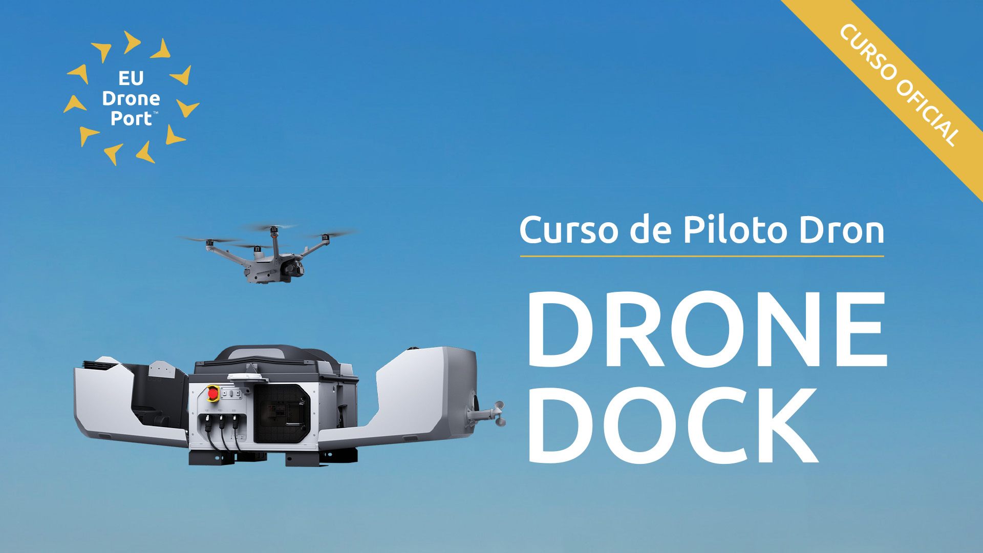 Drone Dock